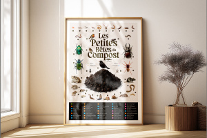 Affiche les petites bêtes du compost