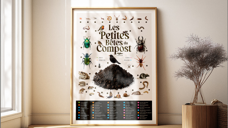 Affiche les petites bêtes du compost