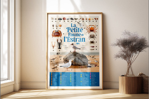 Affiche la petite faune de l'estran